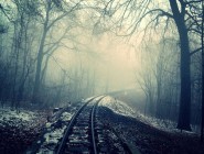 小学三年级学习语文的重点和方法