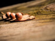 剑桥标准英语教程Touchstone 第二版学生用书电子版第三级+练习册