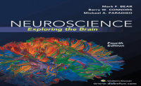 [医学pdf下载]Neuroscience:ExploringtheBrain-神经科学：探索大脑